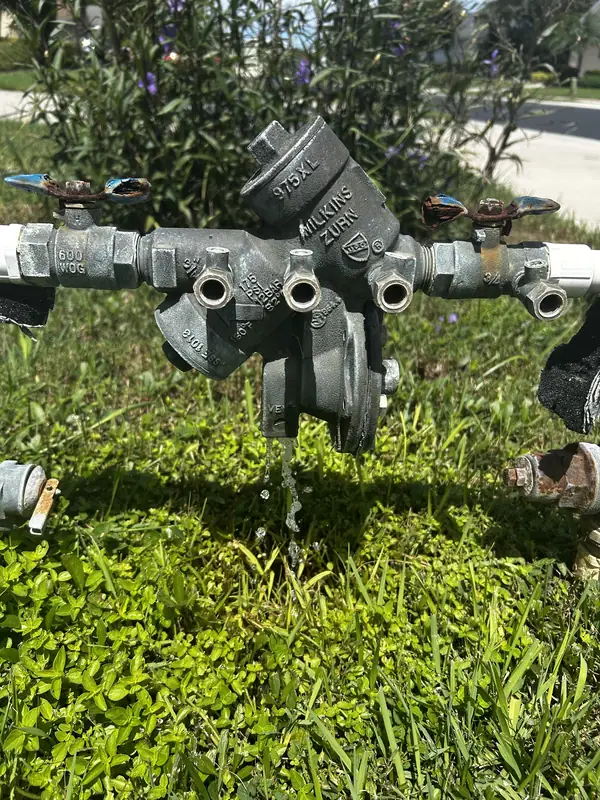 Leaking backflow preventer assembly installed above the lawn at a Sarasota property